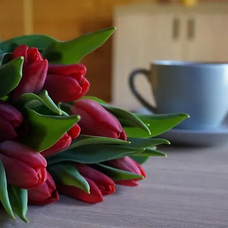 Jantar Θέρετρο