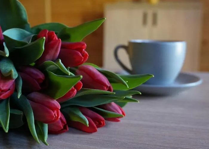 Jantar Üdülőközpont